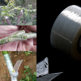 Grafting Stretchable Tape for Nursery and Garden, Budding/Plant Repair Tape for Nursery & Garden, Moisture Barrier Waterproof, Size- 50MM (Aprox 100GM) (Pack Of 1)