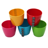 Hug A Plant Valencia Mixed Magnet Plastic Pot to Create Vibrant Spaces