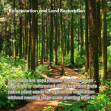 Gulmohar (Delonix regia) | Seed Balls