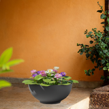 Lilly Rotomolded Pot for Home & Garden (Pack of 1)