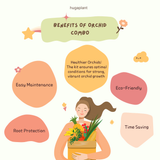 Hug A Plant : Orchid Combo ;All in one set