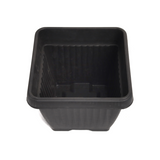 Hug A Plant |Bello Square 20CM Plastic Pot for Home & Garden (Pack of 1)