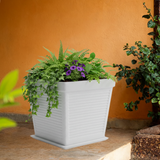 Marco Rotomolded Pots And Tray for Home & Garden (Pack of 1)