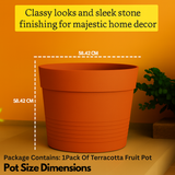 Fruit Rotomolded Pots for Home & Garden (Pack of 1)