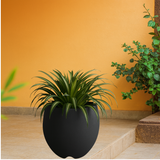 Arecca Rotomolded Pots for Home & Garden (Pack of 1)
