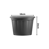 6 Inch Grower Plastic Pot Black