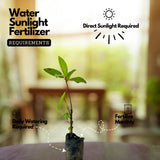 Birth Star : Krittika|Karthika (Plant: Athi-Ficus Glomerata|Ficus Racemosa) (Home & Garden)