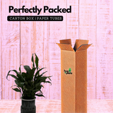 Peace Lily (Small Leaf) in Selfwatering Pot (Spathiphyllum) Flowering/Ornamental Live Plan (Home & Garden)