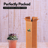 Sempervivum Brown Tip - Live Plant (Home & Garden)