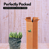 Aloe Flow - Live Succulent Plant (Home & Garden)