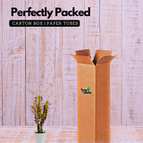 Euphorbia Trigona Red- Live Plant (Home & Garden)