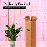 Peace Lily in Selfwatering Pot (Spathiphyllum) Flowering/Ornamental Live Plan (Home & Garden)