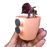 Valencia Magnet Small Plastic Pot to Create Vibrant Spaces