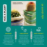 Green Sand for Decoration |Garden|Table|Terrariums| Home Decor|Vase Fillers