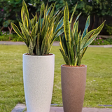 Hug A Plant | Venice Planter Rotomolded Round Plastic Pot Without Inner for Home & Garden (Pack of 1, Midnight Stone Finish)