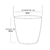 Valencia 11cm Round Plastic Pot for Home & Garden