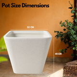 Stylo Rotomolded Pots for Home & Garden (Pack of 1)