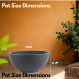 Lilly Rotomolded Pot for Home & Garden (Pack of 1)