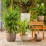 Verona Eco 14cm Round Plastic Pot For Home & Garden (14CM | 5INCH)