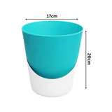 Atlantis Self-watering Plastic Pot for Home & Garden Decor