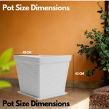 Marco Rotomolded Pots And Tray for Home & Garden (Pack of 1)