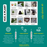 Hole Rock for Decoration |Garden|Table|Terrariums| Home Decor|Vase Fillers