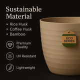 Aglaonema Pink Anjamani Live Plant in Verona 15cm Eco Planter (Cream) | Indoor Air-Purifying Decorative Plant | Low-Maintenance | Ideal for Home & Office Décor