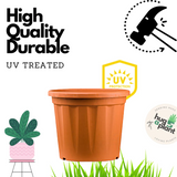 6 Inch Grower Plastic Pot Terracotta