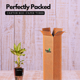 Dieffenbachia Sparkles - Live Plant (With 5 Inch Self-Watering Pot & Plant)