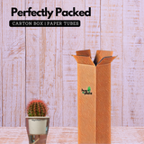 Ball Cactus Red (echinocactus grusonii) - Live Plant (With 5 Inch Self-Watering Pot & Plant)