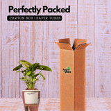 Syngonium Lemon - Live Plant (With 5 Inch Self-Watering Pot & Plant)