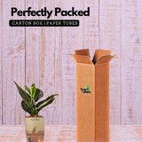 Monstera Peru (Monstera karstenianum)- Live Plant (With 4 Inch Self-Watering Pot & Plant)