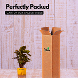 Syngonium Red Plum Plant (Pink veins) - Live Plant (With Self-Watering Pot & Plant)