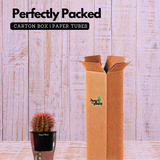 Ball Cactus Red (echinocactus grusonii) - Live Plant (With 5 Inch Self-Watering Pot & Plant)