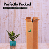 Monstera Peru (Monstera karstenianum)- Live Plant (With 4 Inch Self-Watering Pot & Plant)