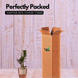 Zamioculcas zamiifolia ƒ??Zenziƒ?? Dwarf ZZ Plant- Live Plant (With 5 Inch Self-Watering Pot & Plant)