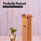 Sansevieria Crooked / Snake Plant (Dracaena trifasciata)- Live Plant (With 5 Inch Self-Watering Pot & Plant)