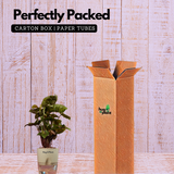 Syngonium Red Plum Plant (Pink veins) - Live Plant (With Self-Watering Pot & Plant)