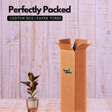 Aglaonema Lipstick - Live Plant (With 5 Inch Self-Watering Pot & Plant)