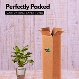 Philodendron Xanadu Golden (Thaumatophyllum Xanadu)- Live Plant (With 5 Inch Self-Watering Pot & Plant)