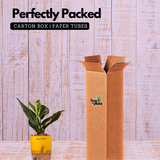 Monstera Peru (Monstera karstenianum)- Live Plant (With 4 Inch Self-Watering Pot & Plant)