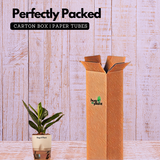 Monstera Peru (Monstera karstenianum)- Live Plant (With 4 Inch Self-Watering Pot & Plant)