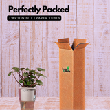 Watermelon Peperomia (Peperomia argyreia) - Live Plant (With 5 Inch Self-Watering Pot & Plant)