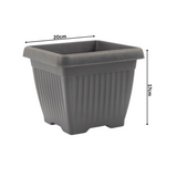 Hug A Plant |Bello Square 20CM Plastic Pot for Home & Garden (Pack of 1)