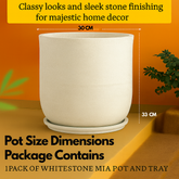 Mia Rotomolded  Pots And Tray for Home & Garden (Pack of 1)