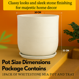 Mia Rotomolded Pots And Tray for Home & Garden (Pack of 1)