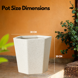 Gem Rotomolded Pots for Home & Garden (Pack of 1)