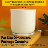 Mia Rotomolded Pots And Tray for Home & Garden (Pack of 1)