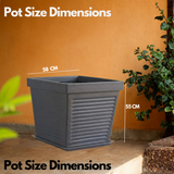 Marco Rotomolded Pots And Tray for Home & Garden (Pack of 1)