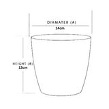 Valencia 14cm Round Plastic Pot for Home & Garden